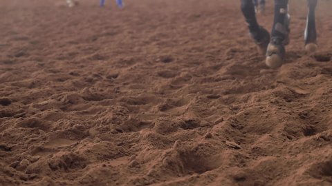 Slow motion close up of running horse paws stepping on arena sand on a warmup before competition