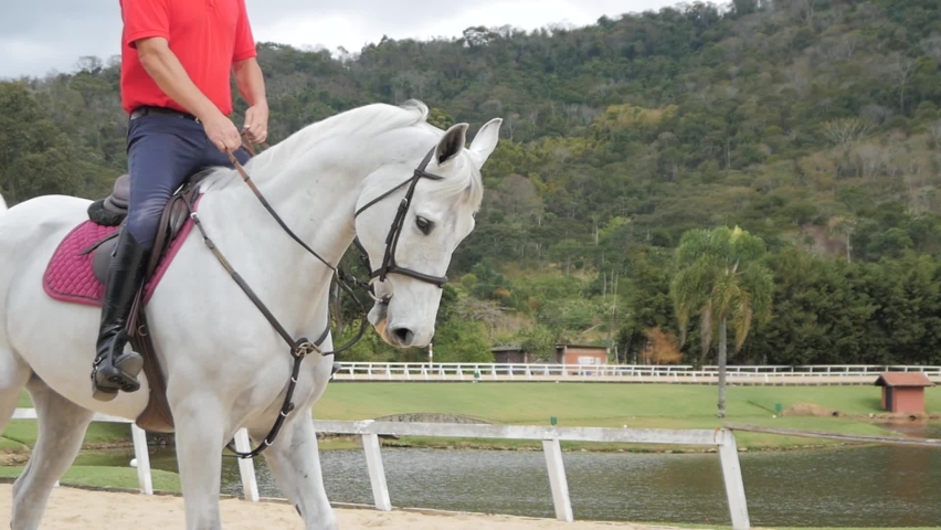 Slow motion of majestic white horse and its rider preparing for jumping competition 