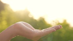 Closeup view 4k video footage of one empty female hand of white woman in open cupped palm gesture isolated on green natural sunny sunset bokeh bright background with lens sun flares effect