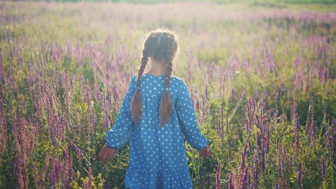 girl kid in a blue dress walks in a field park with purple flowers. happy family kid dream concept. baby kid walks in nature beautiful sun field with flowers. dream girl happy childhood in the park
