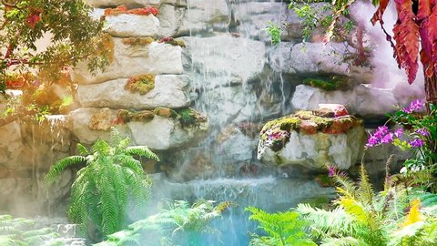 plant tree and flower blooming and colorful leaves and blur blue waterfall background in the summe