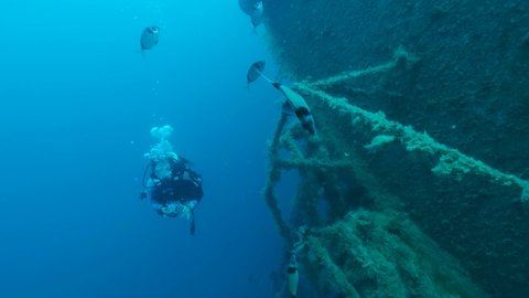 MEDITERRANEAN SEA, CYPRUS - AUGUST, 2021: Scuba diver photographer swims on the shipwreck Swedish ferry MS Zenobia. Wreck diving. Mediterranean sea, Cyprus