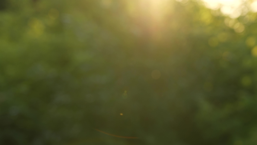 Beautiful green abstarct nature 4k video bokeh background