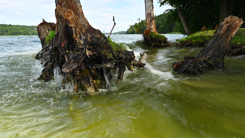 Water, waves breaking into the land, revealing the roots of trees in the sands