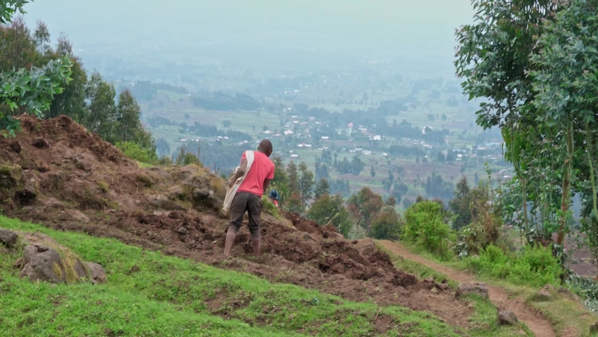 Africans work in the field