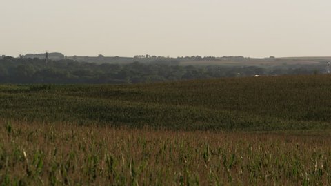 Slow motion static view of corn fields in Wahoo, Nebraska.