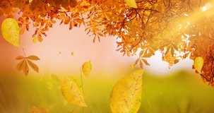Animation of leaves falling over autumn scenery. nature, seasons, autumn and colour concept digitally generated video.