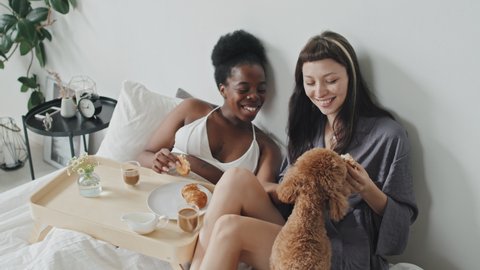 Slowmo handheld tracking of happy lesbian couple relaxing in bed in morning and chatting while eating breakfast and petting their cute maltipoo dog