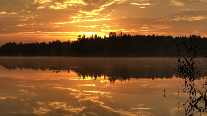 Golden hour dramatic orange sky at sunset over forest lake reflecting on still water surface, forest line silhouetted on horizon.