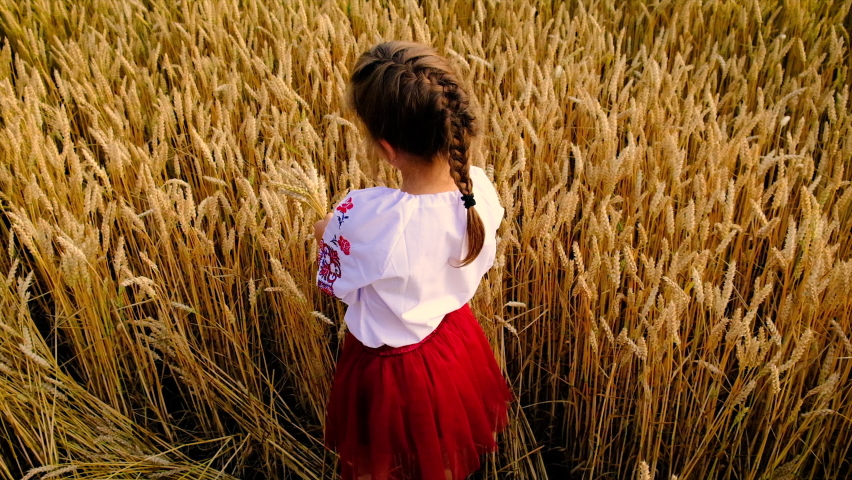 Child in wheat field concept for Ukraine independence day. Selective focus. | Shutterstock HD Video #1078189655