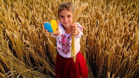 Child in wheat field concept for Ukraine independence day. Selective focus.