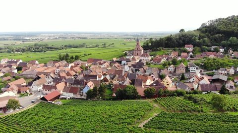 Nice old village with old church at bottom of forested hill, surround with many vineyards. Aerial shot of Orschwiller, one of Alsatian historical towns. Camera fly forward