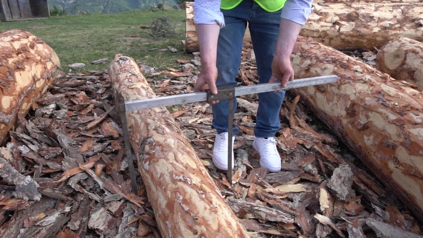 Forester Measuring the Dimensions of Tree 