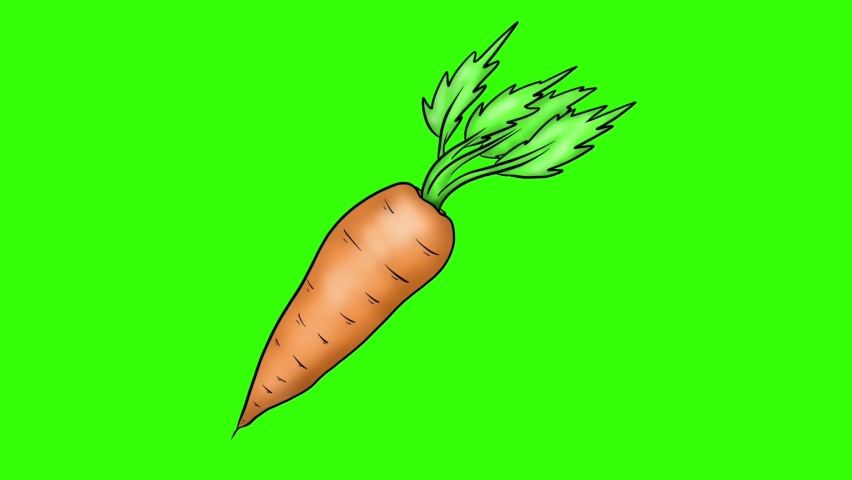 Carrot clip art video green screen chroma key for your editing video