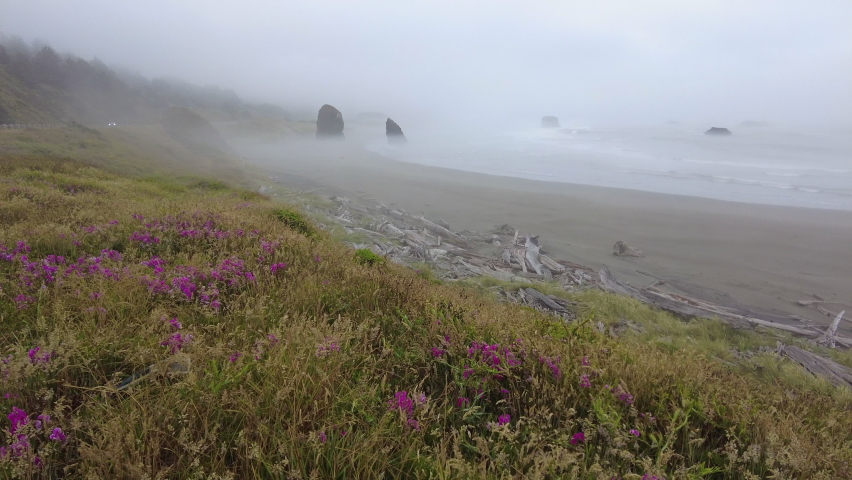 The nutrient-rich Pacific Ocean washes against the scenic and foggy coastline of southern Oregon. This beautiful region of the Pacific Northwest is accessible via highway 101.