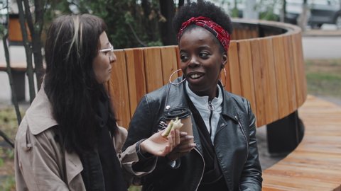 Slowmo shot of cheerful African-American woman and her Caucasian girlfriend sitting on bench in park and chatting while eating sandwiches and drinking coffee on date