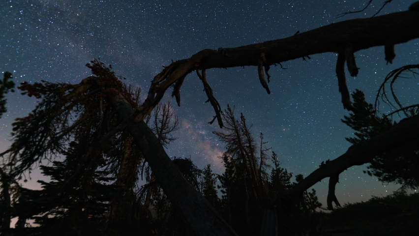Time lapse tracking shot of Milky Way galaxy through trees in Mammoth Lakes in Sierra Nevada Mountain in California