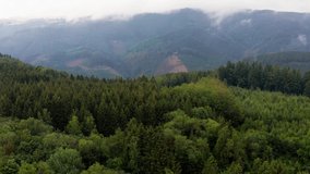 a sauerland forest fog landscape from above in 4k