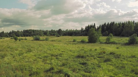 Panoramic landscape with a field and forest overgrown with bushes. Camera pans over the field in 4k