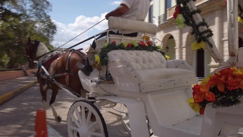 Merida, Yucatan, Mexico - 03 23 2019: Horse carriages lining park, waiting for customers in Merida, Yucatan, Mexico.