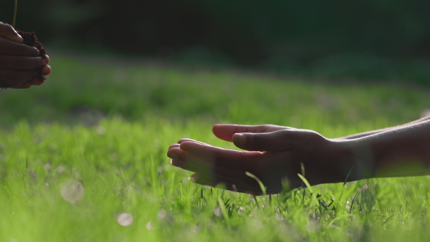 Close up of kids hands putting in mother's hands little green sprout with soil. African woman teaching child for taking care about nature and planet. Generation and new life concept. Royalty-Free Stock Footage #1078262360