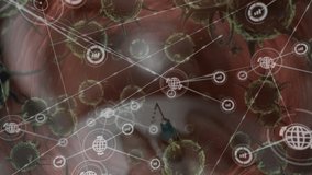 Animation of network of connections with covid 19 cells. global covid 19 pandemic, connections, medicine and healthcare services concept digitally generated video. - Powered by Shutterstock - Get 15% off with code: PIKWIZARD15