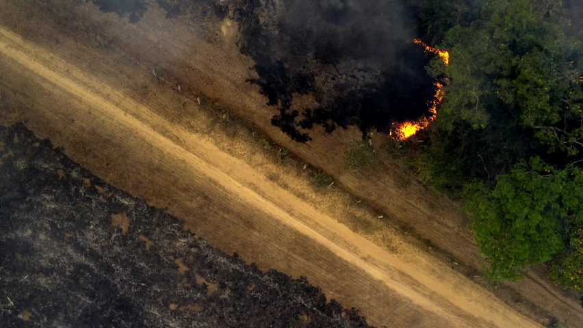 Straight down aerial view of wildfires burning the Brazilian Pantanal's wetlands wilderness during a drought Royalty-Free Stock Footage #1078270964