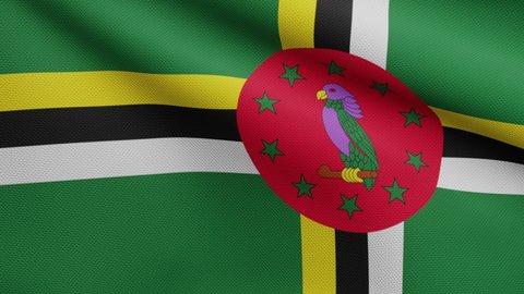 3D, Dominican flag waving on wind. Close up of Dominica banner blowing, soft and smooth silk. Cloth fabric texture ensign background. Use it for national day and country occasions concept.-Dan