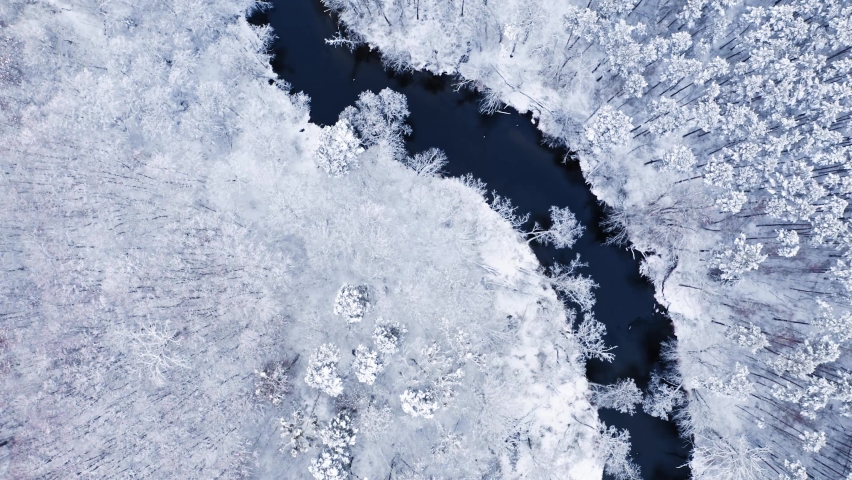 Snowy forest and curvy river in winter. Aerial view of nature in winter, Poland | Shutterstock HD Video #1078285952