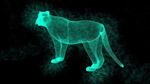 Abstract animation of a lion. Poly wire frame illustration. Wild animals 3D. Polygonal art with lines and dots. plexus line motion particle. 3D hologram animals. 3D wireframe animals. 
