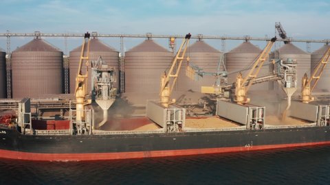 ODESSA, UKRAINE - August 9, 2021: Drone video - loading grain into holds of sea cargo vessel through an automatic line in seaport from silos of grain storage. Bunkering of dry cargo ship with grain