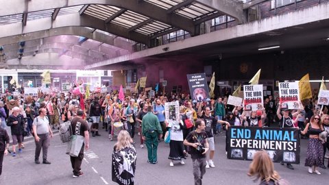 LONDON, UK – August 28, 2021: Music and Flares at Extinction Rebellion Animal Rights Protest, London, England, UK