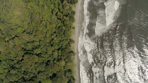 Aerial birds eye shot of acacia and green trees beside beach with crashing waves - Punta Mona,Costa Rica