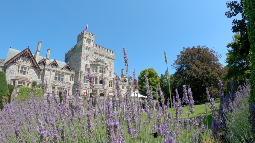 Hatley Castle Royal Roads University Lavender 4K UHD. Hatley Castle near Victoria British Columbia which houses Royal Roads University. 4K UHD.
