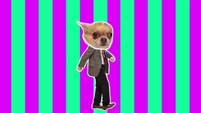 4K Minimal animation motion design. Funny dog face on dancing man. Pop and dance mood. Businessman in stop motion, 2D, modern, conceptual, contemporary pop art collage. Party, business, concept