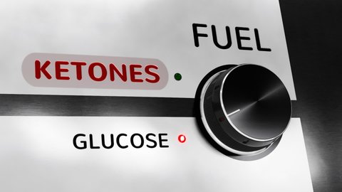 A "fuel" knob selecting ketones, out of glucose and ketones (3D render)