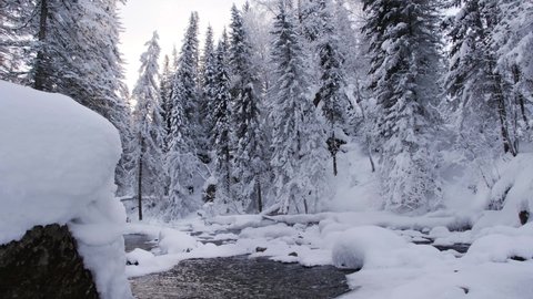 River in the cold of winter forest flows between the trees with snow