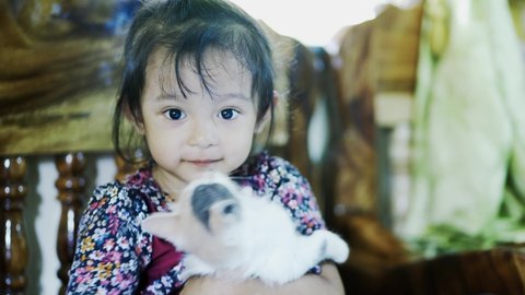 Girl with a cat. Little girl (three years old) holds a cat in her arms against 