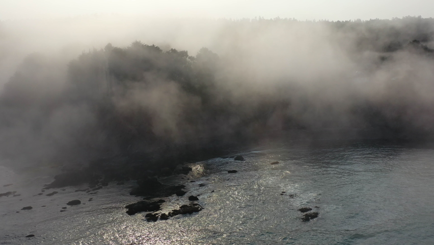Early morning sunlight filters through the coastal marine layer in Mendocino, California. Much of Northern California experiences this common fog generated by pressure gradients.