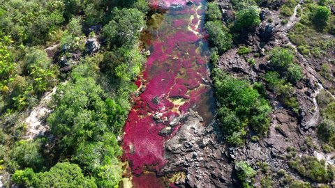 Caño Cristales Colombia beautifull river