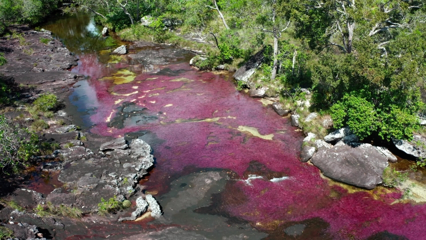 Caño Cristales Colombia beautifull river