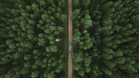 Aerial view top down view of empty timber truck driving through the commercial pine tree forest to load logs 