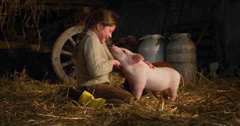 Happy little girl is caressing with love and care ecologically grown newborn pink piglet.