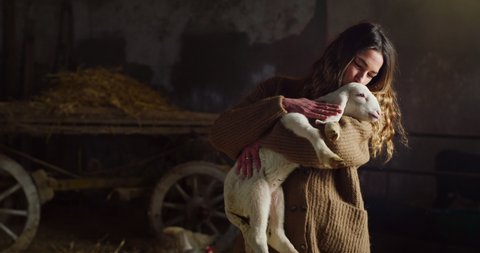 Cinematic shot of happy young female farmer is caressing with love and care ecologically grown newborn lamb used for biological genuine wool industry in hay barn of countryside agricultural farm. 