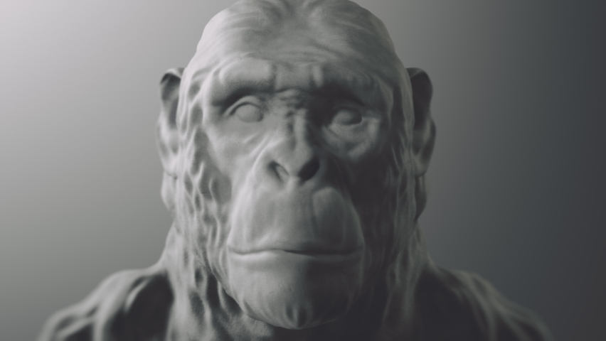 Human evolution time-lapse. From ape, primitive man to homo sapiens. Darwin's theory. Royalty-Free Stock Footage #1078497257