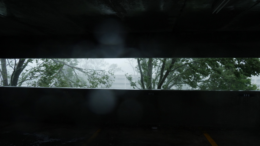 Hurricane Ida Snaps Tree In Half In Houma, Louisiana USA During Category 4 Wind Gusts