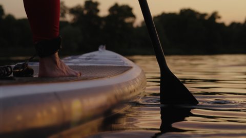 Female feet standing on SUP board while paddling, safety strap attached to ankle. Partial view of woman doing sports on water in the evening. Healthy lifestyle and outdoor activity