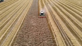 Aerial view on Combine harvester harvesting wheat field