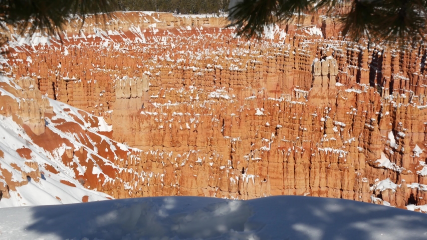 Bryce Canyon in winter, snow in Utah, USA. Hoodoos in amphitheater, eroded relief, panoramic vista point. Unique orange formation. Red sandstone and coniferous pine or fir tree. Eco tourism in America