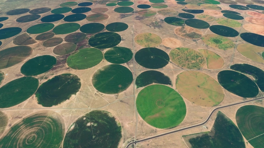Aerial view of center pivot irrigation landmarks an agricultural technique also called water wheel is method in which equipment rotates around point and crops are watered with sprinklers 4k animation Royalty-Free Stock Footage #1078519877